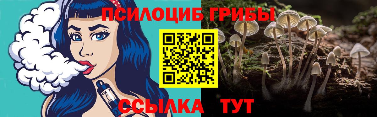 Котельники  Галлюциногенные грибы Psilocybine cubensis  Вход с VPN 
